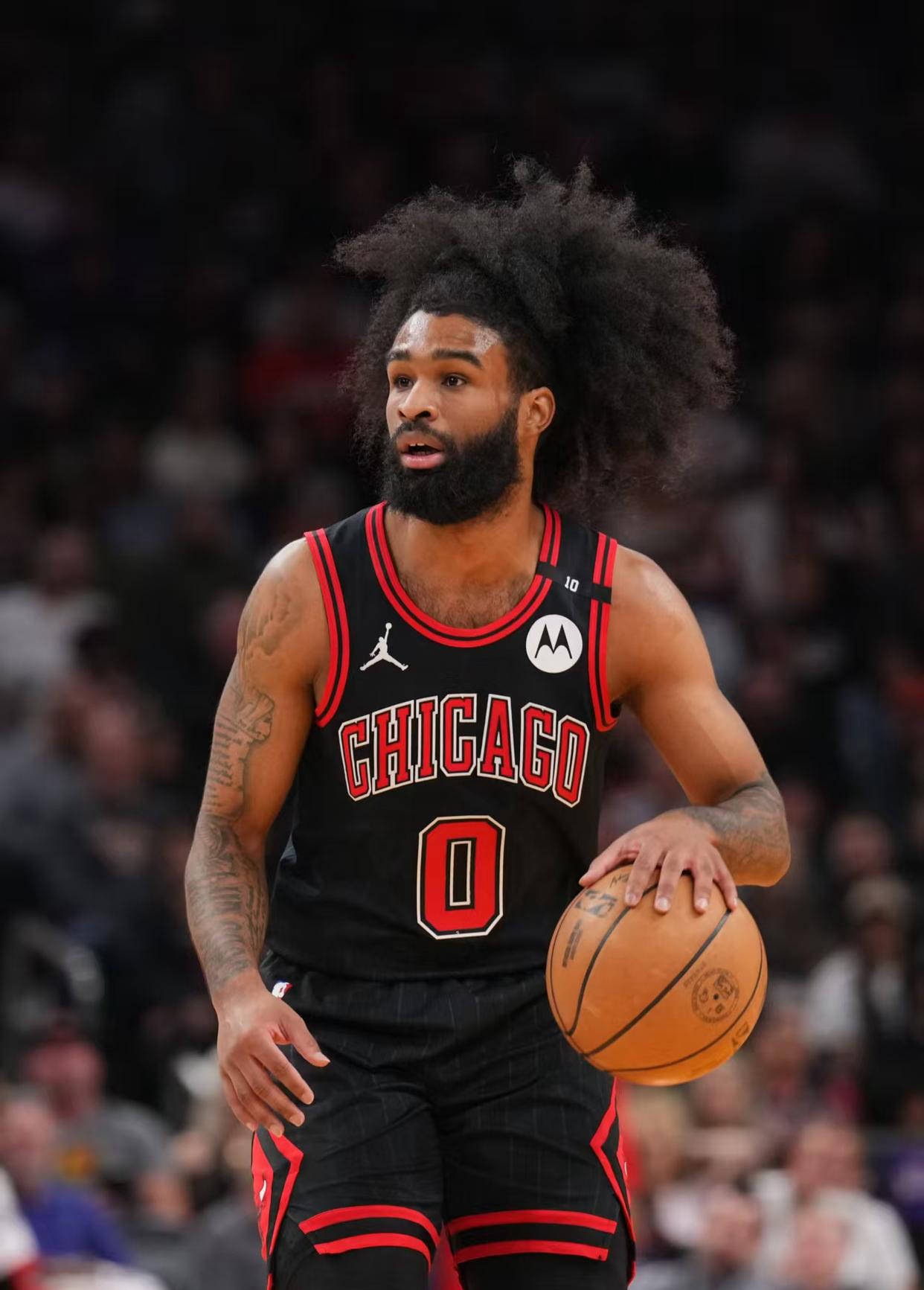 1xBit体育入口-包含公牛新秀崛起撑起球队，表现亮眼人气大增的词条