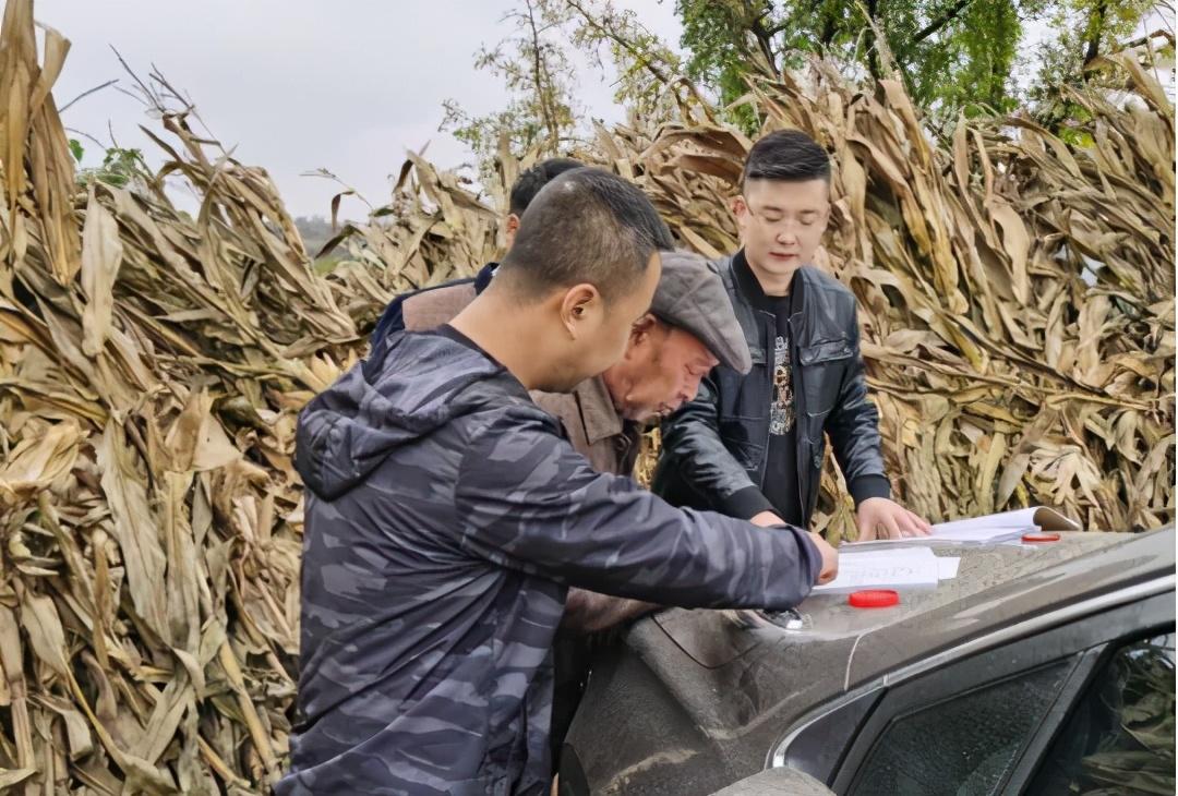 甘肃队挑战失败,遭遇困境 甘肃队挑战失败,遭遇困境