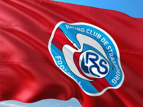 1xBit体育登录入口-帕尔梅拉斯攻防转换加快，比赛节奏全面提升