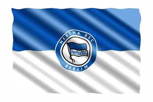 1xBit体育官网app-海德堡大胜攻克欧冠席位，德甲五强成功晋级赛事阵容，海德堡5+1价格